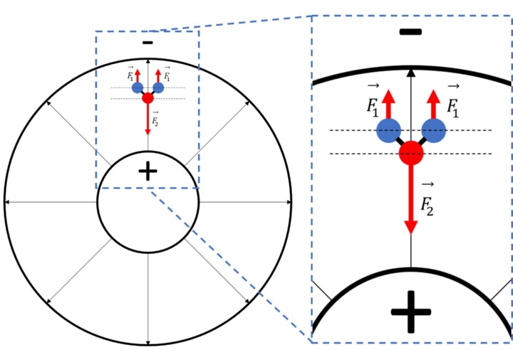 Figure: Operating principle of dielectrophoresis